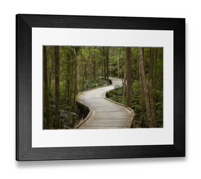 Framed Print : Boardwalk to Nelson Framed Print : Boardwalk to Nelson