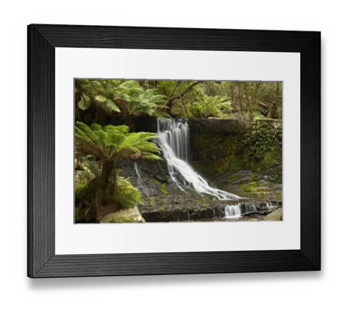 Framed Print : Australia. Horseshoe Falls, Mount Field National Park, Tasmania, Australia Framed Print : Australia. Horseshoe Falls, Mount Field National Park, Tasmania, Australia