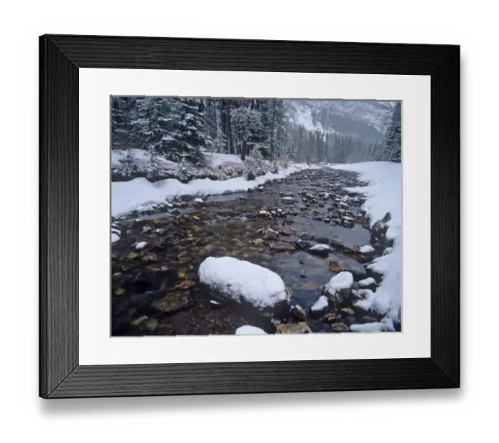 Framed Print : Cameron Creek in winter in Waterton Lakes National Park in Alberta, Canada