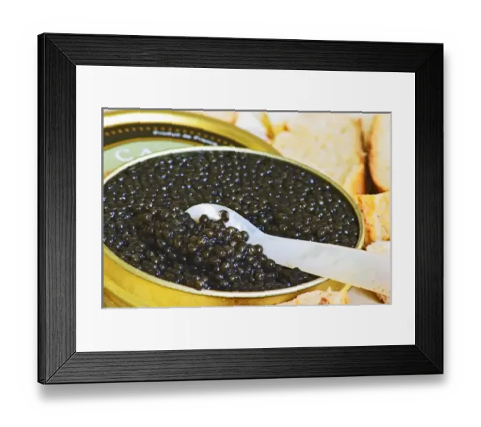 Framed Print : Black caviar