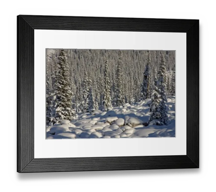 Framed Print : Canada, Alberta Framed Print : Canada, Alberta