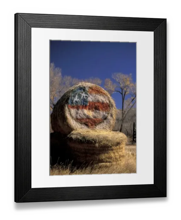 Framed Print : NA, USA, Colorado, Gunnison. Patriotic hay roll with US flag; patriotism Framed Print : NA, USA, Colorado, Gunnison. Patriotic hay roll with US flag; patriotism