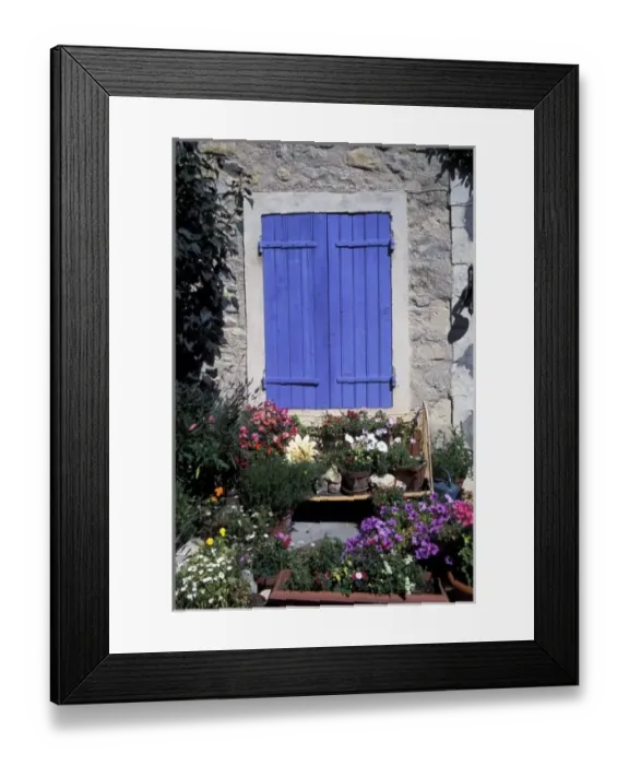 Framed Print : Europe, France, Provence, Aix-en-Provence. Flowers in front of shuttered window Framed Print : Europe, France, Provence, Aix-en-Provence. Flowers in front of shuttered window