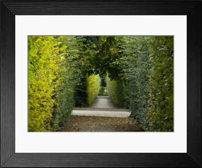 Framed Print : Europe, Austria Framed Print : Europe, Austria