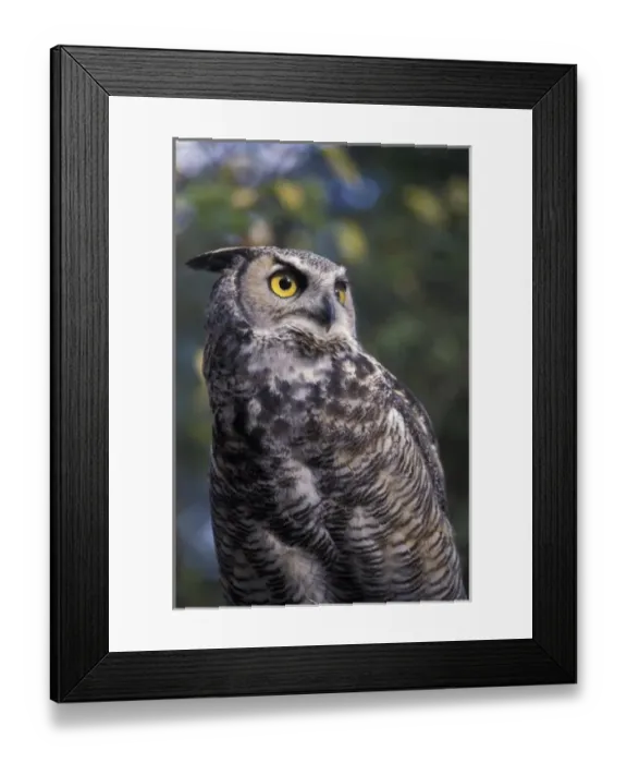 Framed Print : North America