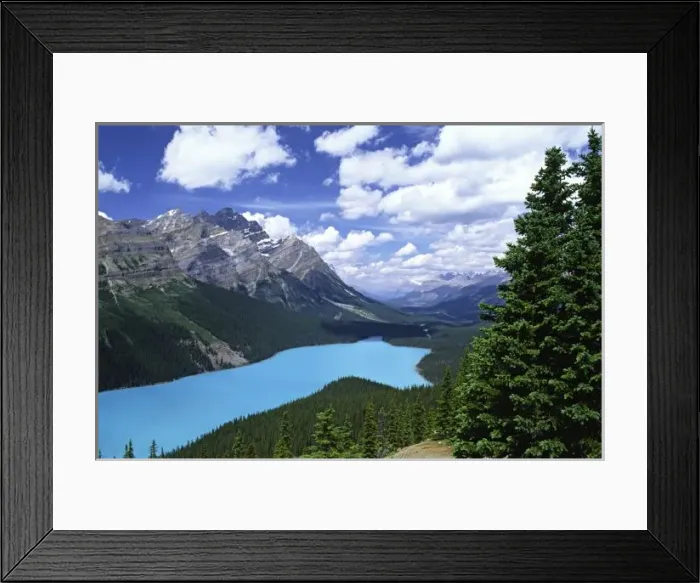 Framed Print : North America, Canada, Alberta, Jasper National Park, Peyto Lake