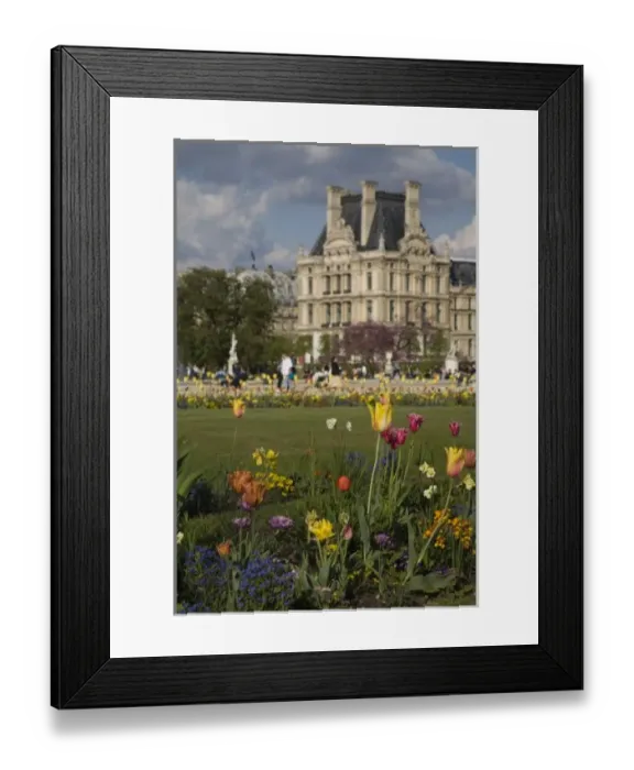 Framed Print : Tuileries Garden, Louvre, Paris, France Framed Print : Tuileries Garden, Louvre, Paris, France