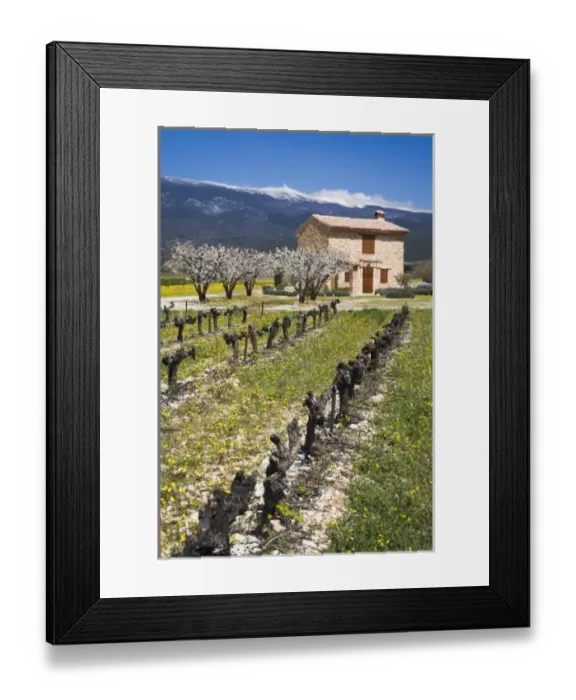 Framed Print : Europe, France Framed Print : Europe, France