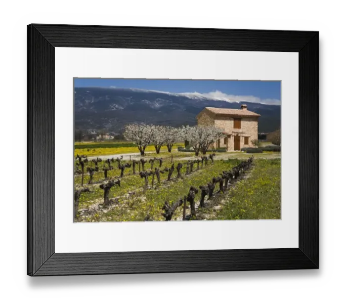 Framed Print : Europe, France Framed Print : Europe, France