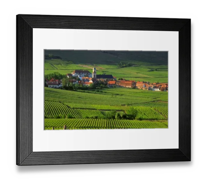 Framed Print : Saint Hypolyte, Haut-Rhin, Alsace, France, vineyards