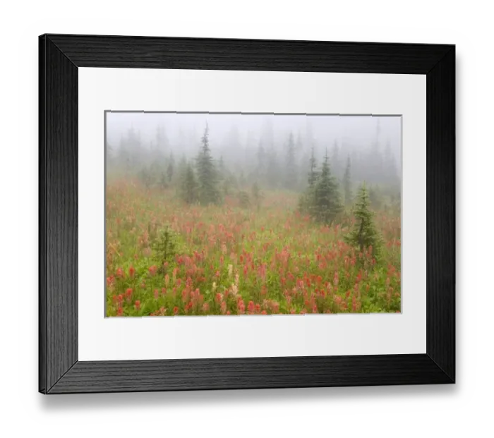 Framed Print : Canada, British Framed Print : Canada, British