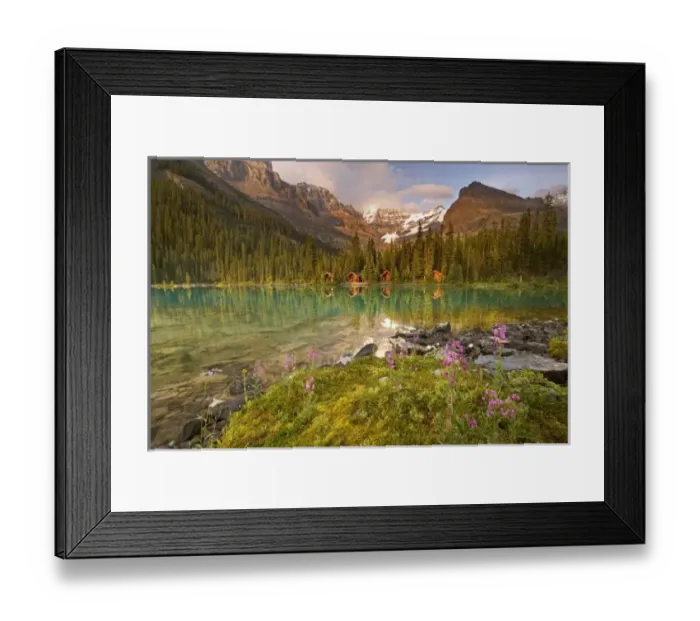 Framed Print : Canada, British Columbia Framed Print : Canada, British Columbia