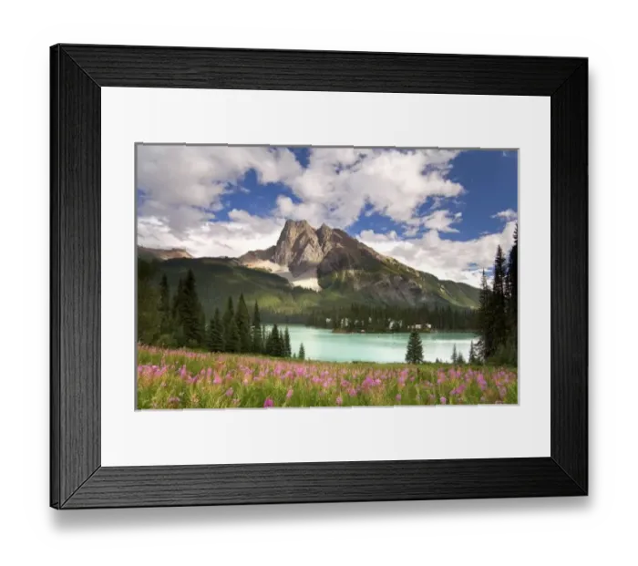 Framed Print : Canada, British Columbia, Yoho National Park. View of Emerald Lake and surrounding wilderness