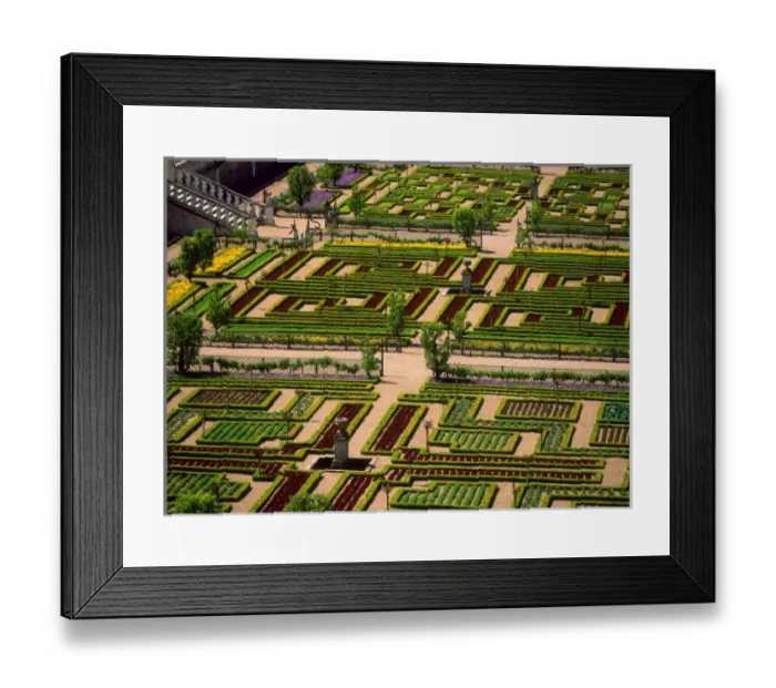 Framed Print : Garden at Villandry