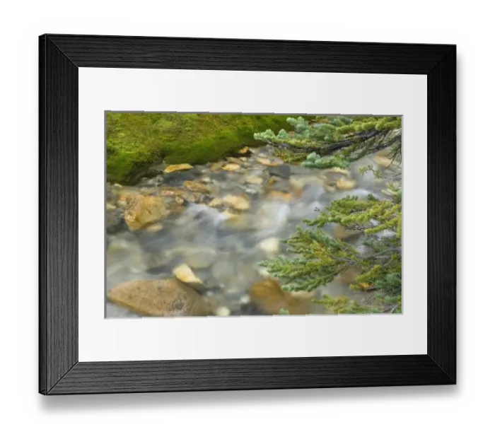 Framed Print : Canada, British Columbia