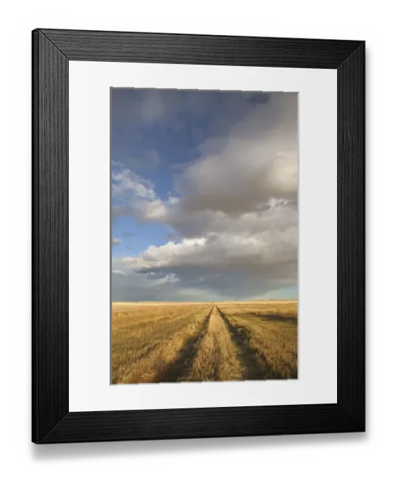 Framed Print : Canada, Alberta, Stand Off: Landscape with Dramatic Sky Wheat Field Road