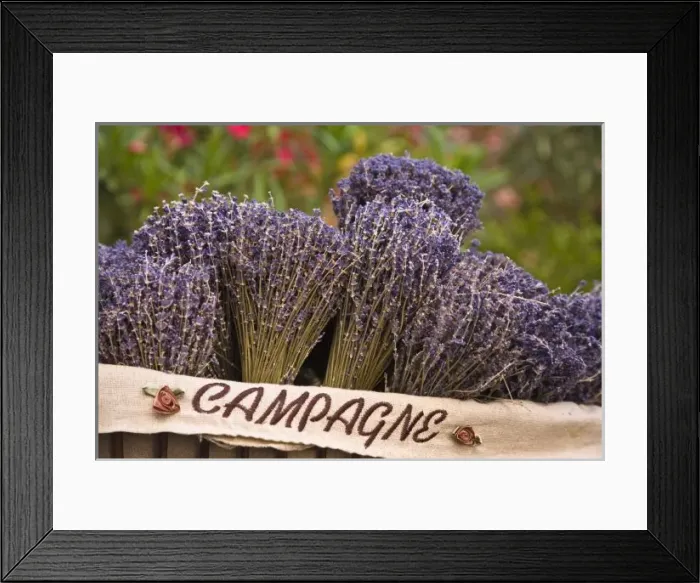Framed Print : Bunches of lavender for sale, Vence, Provence, France Framed Print : Bunches of lavender for sale, Vence, Provence, France