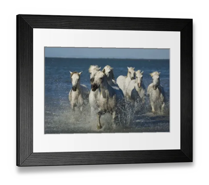Framed Print : Europe, France Framed Print : Europe, France