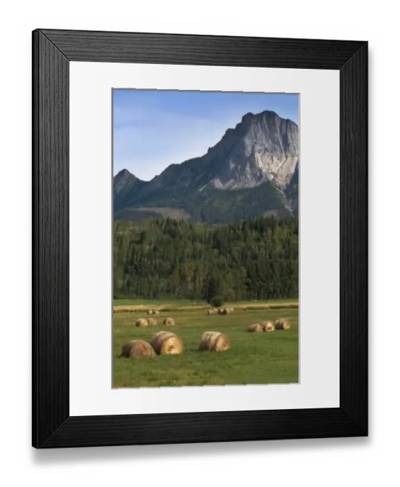 Framed Print : Canada, Alberta
