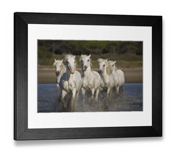 Framed Print : Europe, France Framed Print : Europe, France