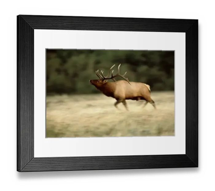 Framed Print : Canada, Alberta Framed Print : Canada, Alberta
