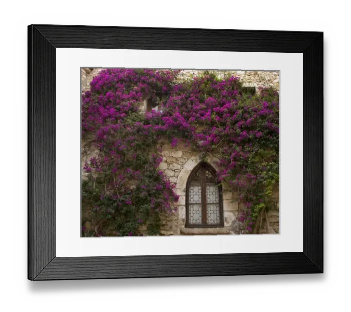 Framed Print : France, Provence, Eze. Bright pink bougainvillea surrounding a gothic- style window Framed Print : France, Provence, Eze. Bright pink bougainvillea surrounding a gothic- style window