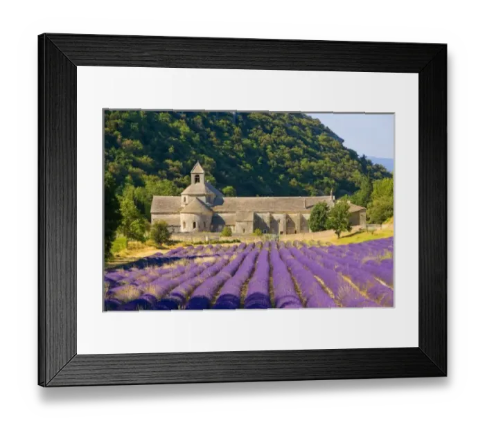 Framed Print : France, Gordes. Cistercian monastery of Senanque beside lavender field in the Provence Region Framed Print : France, Gordes. Cistercian monastery of Senanque beside lavender field in the Provence Region