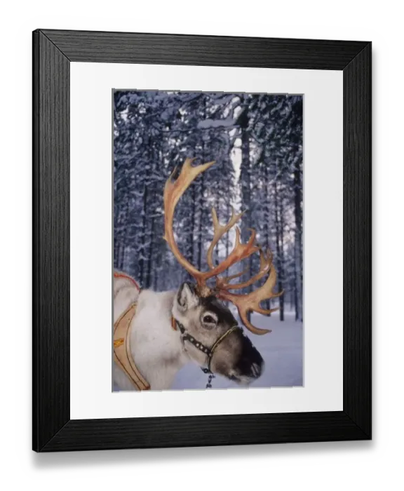 Framed Print : Europe, North Europe, Scandinavia, Finland, Lapland, Rovaniemi, In Santa Claus s Framed Print : Europe, North Europe, Scandinavia, Finland, Lapland, Rovaniemi, In Santa Claus s