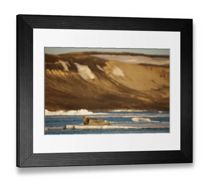 Framed Print : Norway, Svalbard Framed Print : Norway, Svalbard