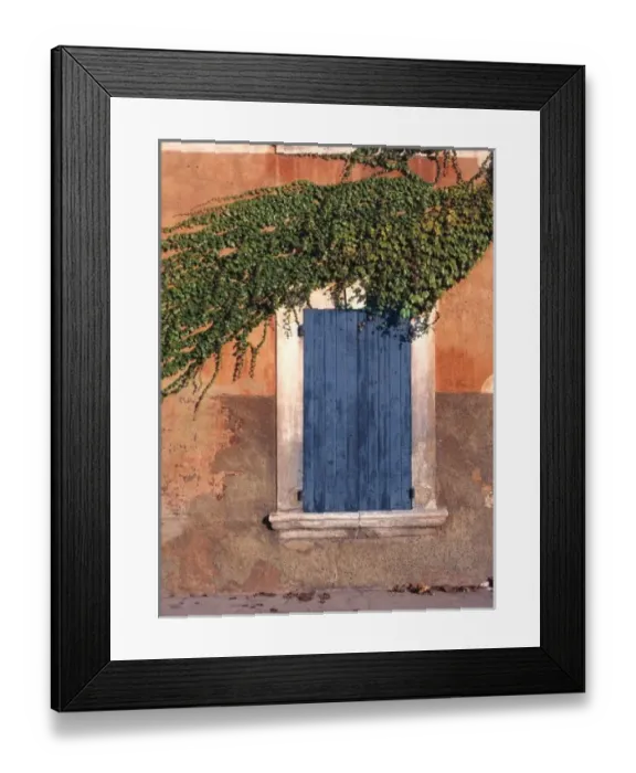 Framed Print : Europe, France, Roussillon. Ivy covers the wall and some of the blue Shutters in Roussillon Framed Print : Europe, France, Roussillon. Ivy covers the wall and some of the blue Shutters in Roussillon