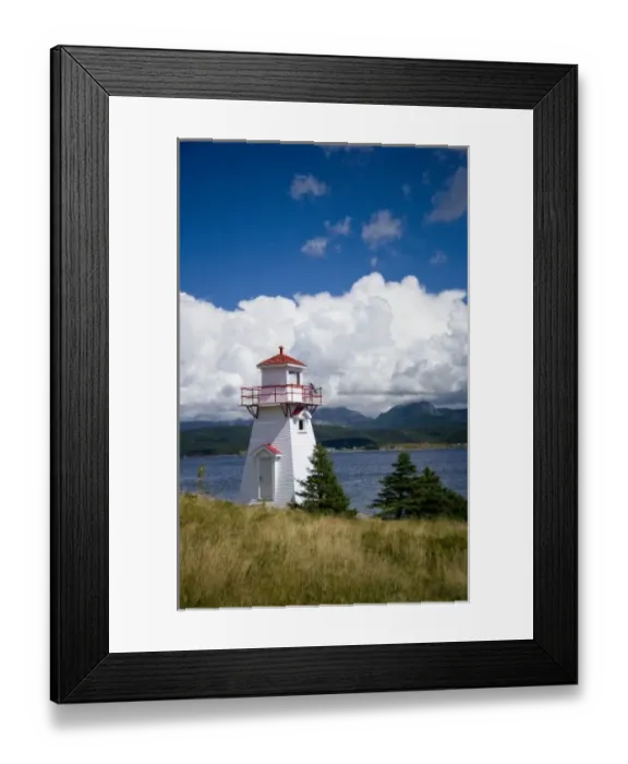 Framed Print : North America, Canada, Newfoundland and Labrador, Gros Morne National Park, Woody