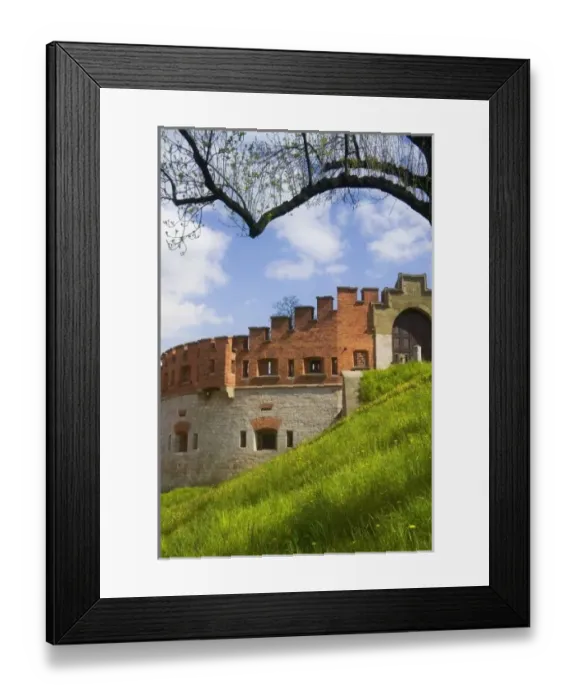 Framed Print : Wawel Castle, Krakow