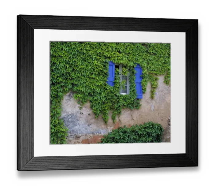Framed Print : Europe, France, Lourmarin. Cascading ivy envelopes a window with bright blue shutters in Lourmarin Framed Print : Europe, France, Lourmarin. Cascading ivy envelopes a window with bright blue shutters in Lourmarin