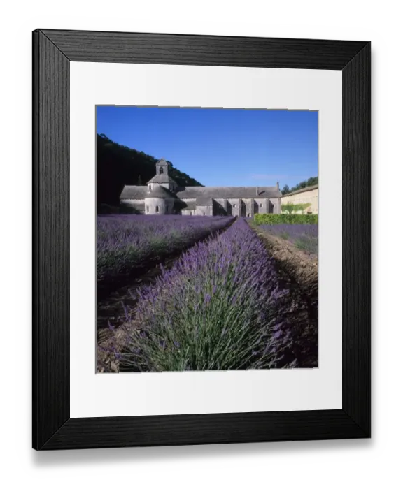 Framed Print : Senanque Abbey, Gordes, Vaucluse, Provence, France