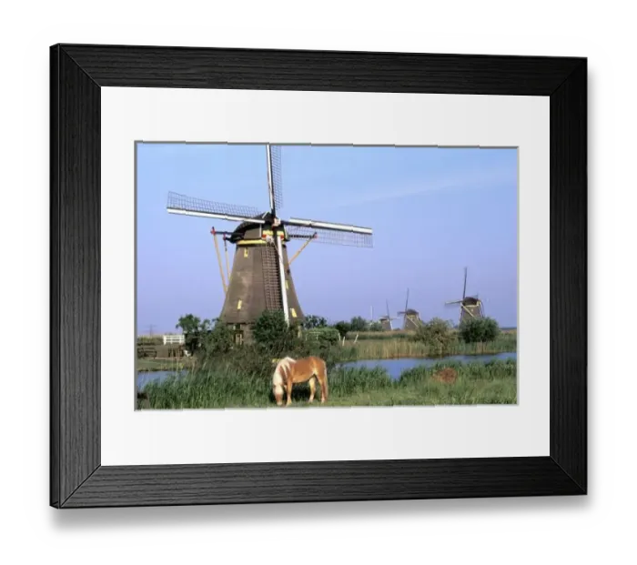 Framed Print : Europe, Netherlands, Zuid Holland, Kinderdijk. Kinderdijk windmills and horse Framed Print : Europe, Netherlands, Zuid Holland, Kinderdijk. Kinderdijk windmills and horse