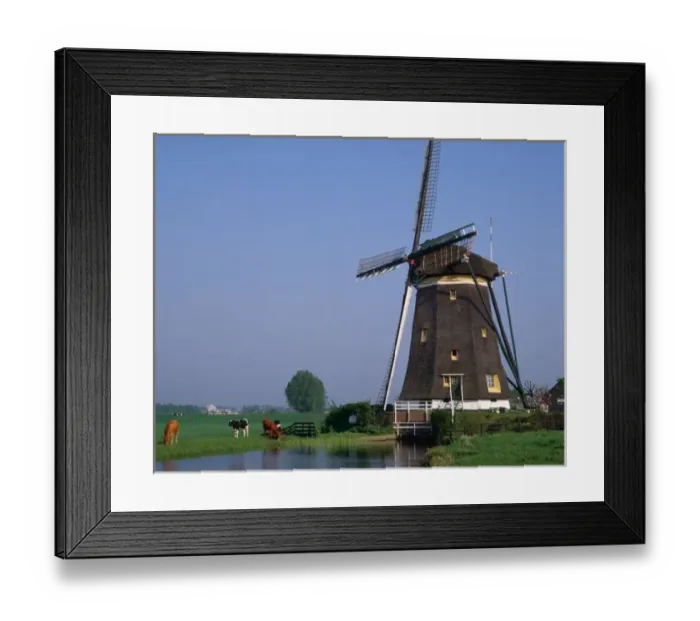 Framed Print : Windmills, Leidschendam, Netherlands Framed Print : Windmills, Leidschendam, Netherlands