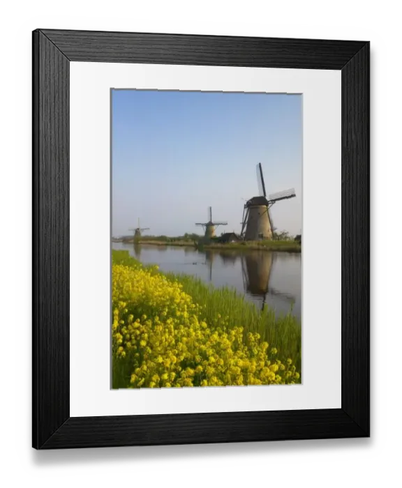 Framed Print : Europe, Netherlands, Holland Framed Print : Europe, Netherlands, Holland