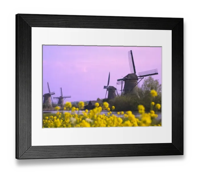 Framed Print : Windmills along