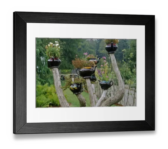 Framed Print : Canada, New Brunswick, St Andrews. Teapots sprout from branches in a whimsical display