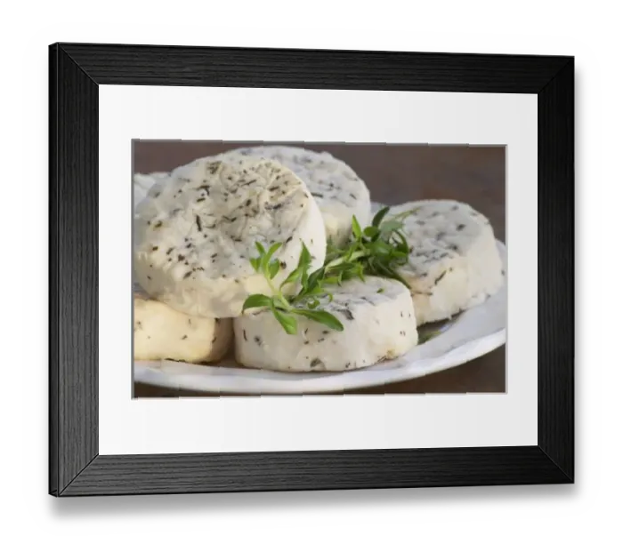 Framed Print : French goat cheese Framed Print : French goat cheese