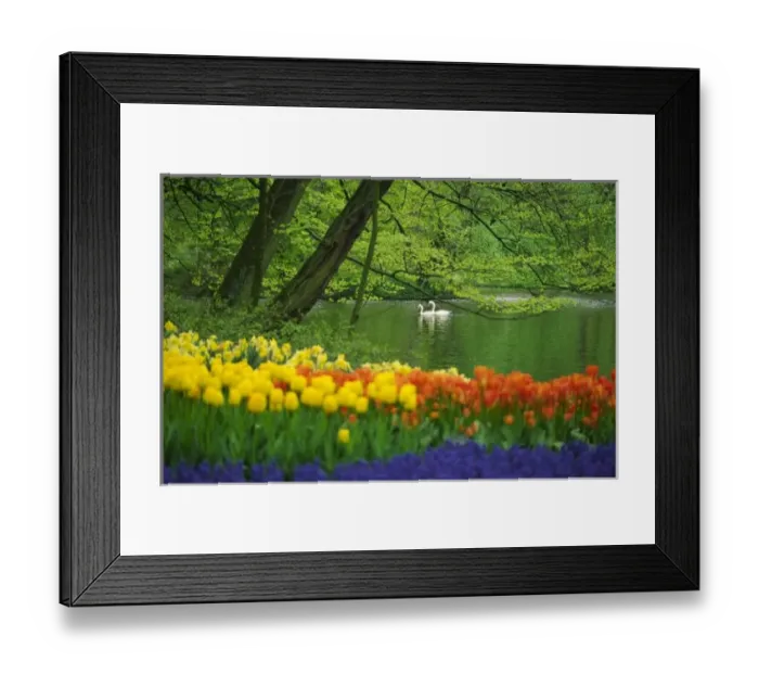 Framed Print : Europe, Netherlands, Holland