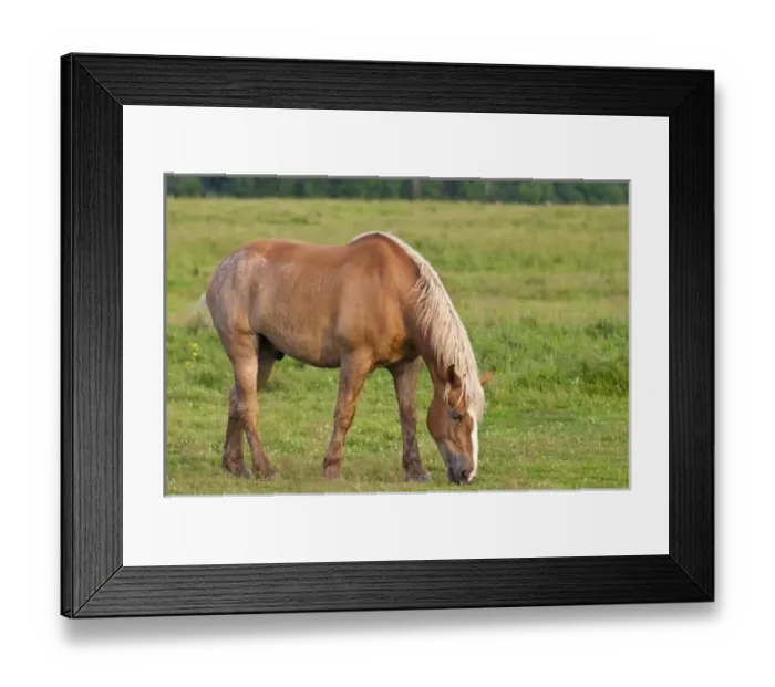 Framed Print : Canada, New Brunswick Framed Print : Canada, New Brunswick