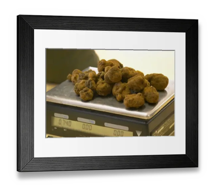 Framed Print : Weighing The morning s