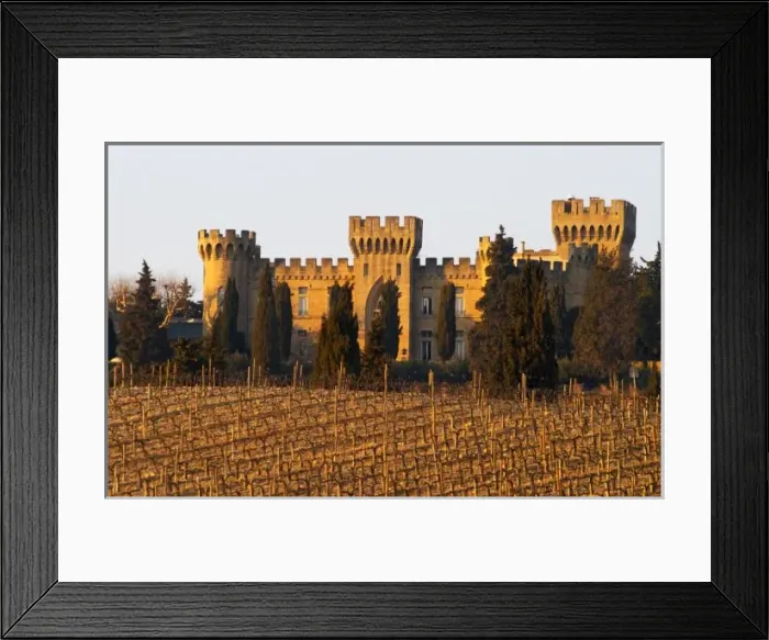 Framed Print : The vineyard with syrah vines and the chateau des fines roches, Chateauneuf-du-Pape
