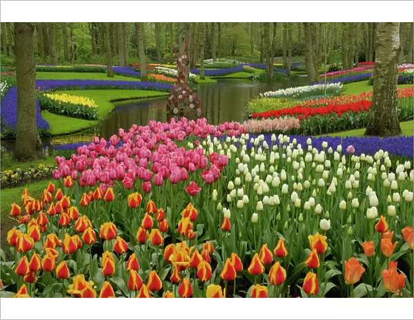 Tulip and hyacinth garden, Keukenhof Gardens, Lisse, Netherlands, Holland