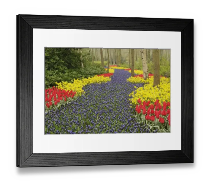 Framed Print : Pathway of Grape Framed Print : Pathway of Grape