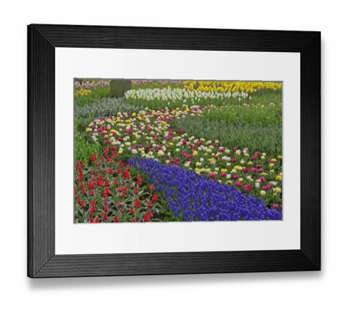 Framed Print : Garden design of Framed Print : Garden design of