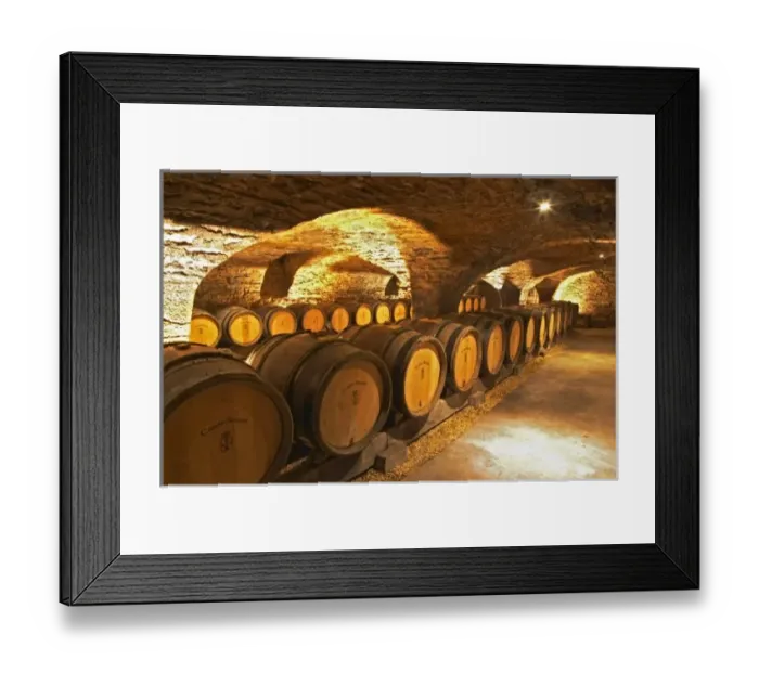 Framed Print : Oak barrles in the cellar at Domaine Comte Senard in Aloxe-Corton, Bourgogne Framed Print : Oak barrles in the cellar at Domaine Comte Senard in Aloxe-Corton, Bourgogne