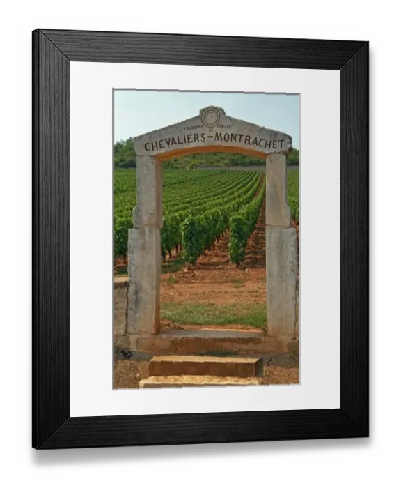 Framed Print : A stone portico to the vineyard Chevalier-Montrachet (Chartron Dupard)