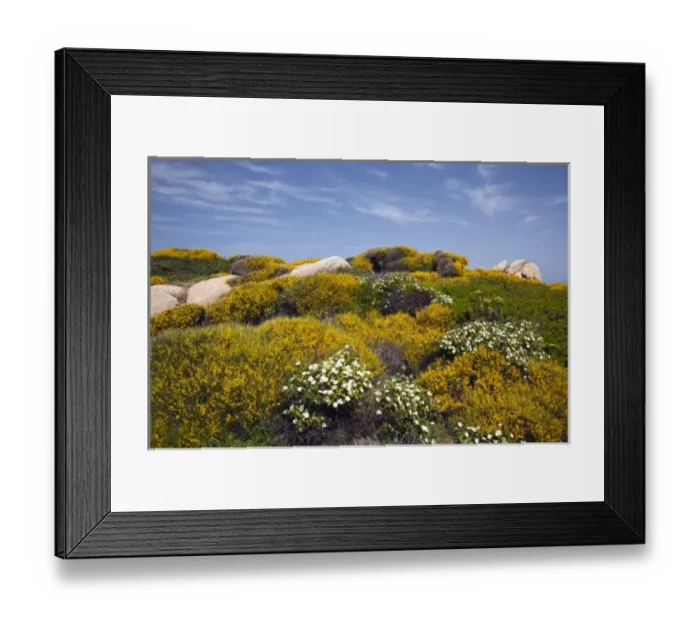 Framed Print : Italy, Sardinia, Santa Teresa Gallura. Capo Testa landscape Framed Print : Italy, Sardinia, Santa Teresa Gallura. Capo Testa landscape